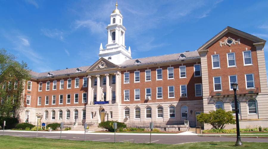 ¿Cuáles son las opciones de vehículos más populares en Hartford Occidental?